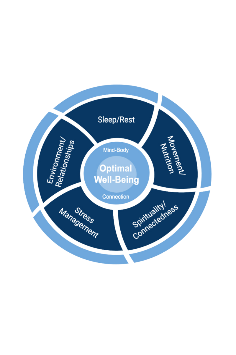 Wheel of Wellness